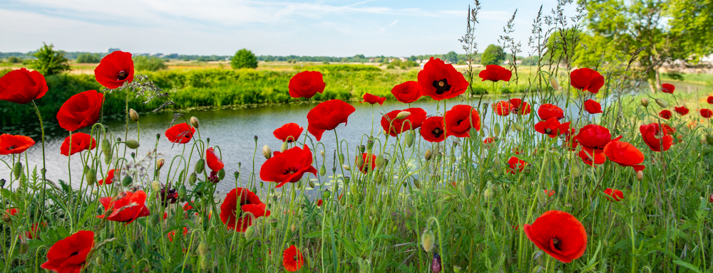 Water&Natuur